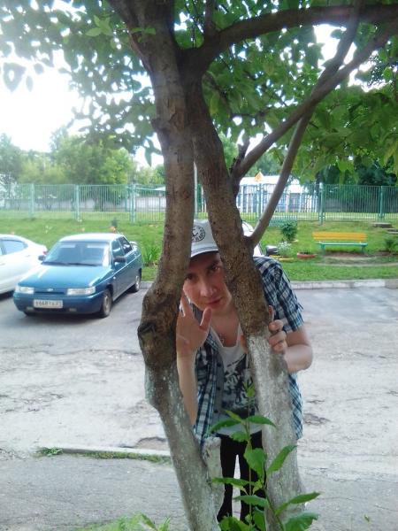 бестня из чеб