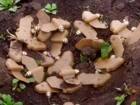 Саперы Росгвардии обезвредили более 600 противопехотных мин в Харьковской области