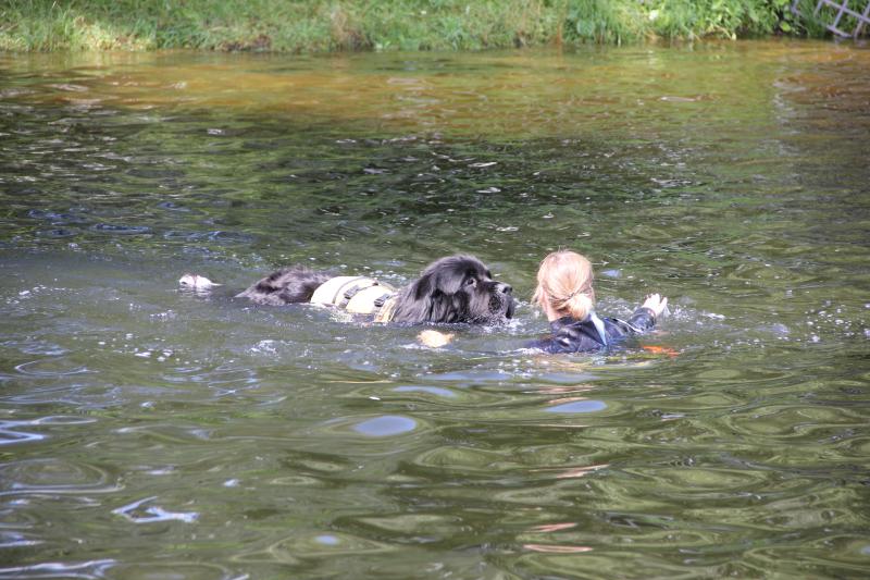 Праздник для верных друзей