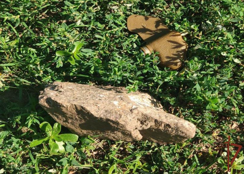 Росгвардейцы обезвредили более 200 противопехотных мин в Запорожской области