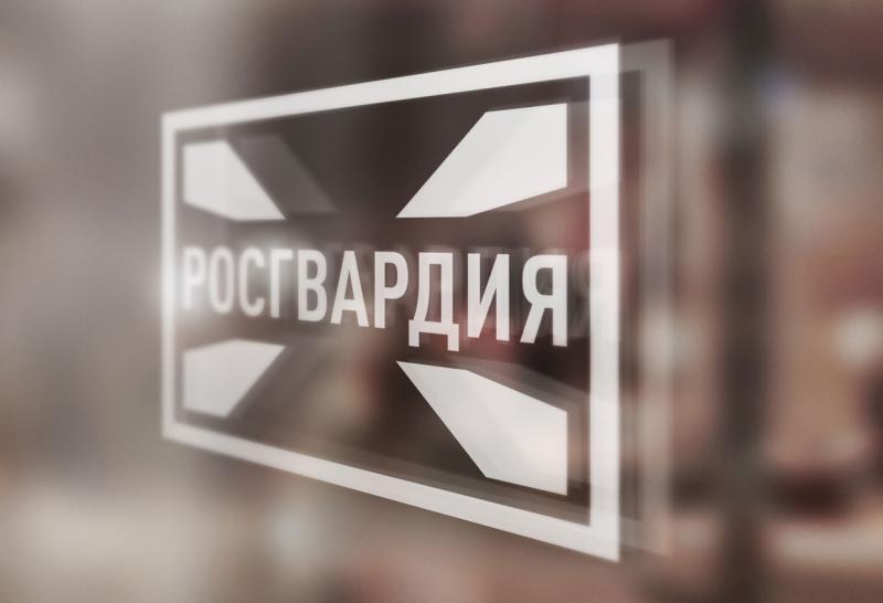 При содействии Росгвардии на Донбассе уничтожены около 50 боевиков и 13 единиц боевой техники противника