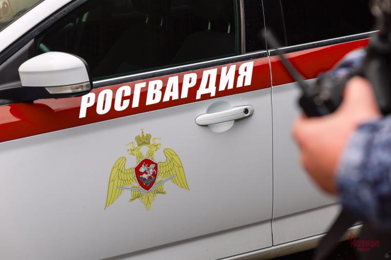 В Самаре росгвардейцы предотвратили кражу из автомобиля
