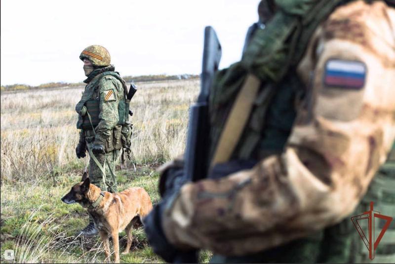 Из тайников в Херсонской и Запорожской областях росгвардейцы изъяли оружие и боеприпасы