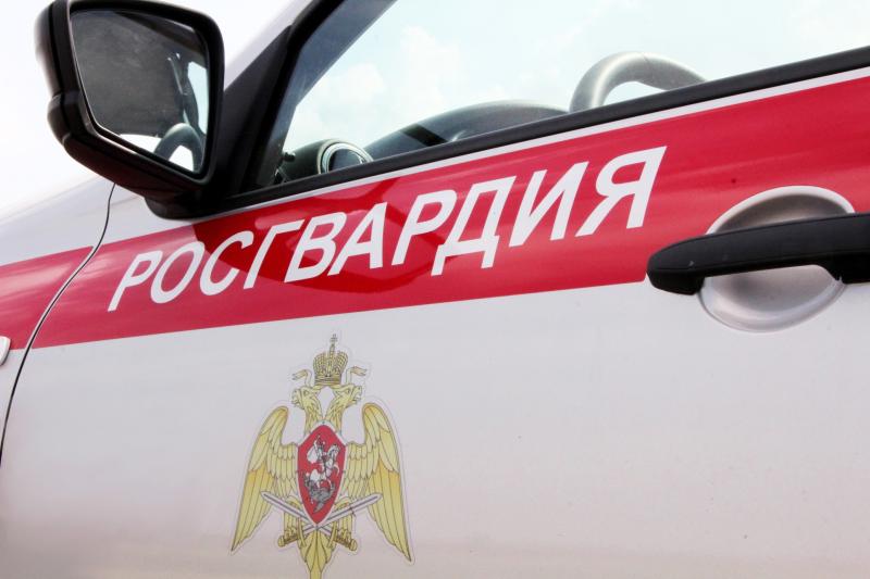 РЯД ЗЛОУМЫШЛЕННИКОВ ЗАДЕРЖАЛИ РОСГВАРДЕЙЦЫ В РОСТОВСКОЙ ОБЛАСТИ