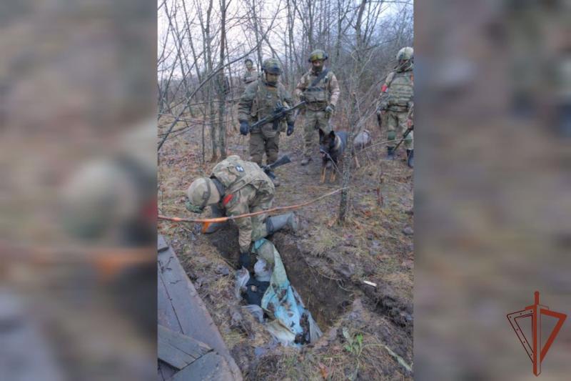 В ЛНР саперы Росгвардии обнаружили и уничтожили крупные схроны с оружием и боеприпасами (видео)