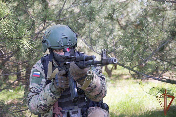 Спецназ Росгвардии уничтожил более 500 взрывоопасных предметов на территории Херсонской и Запорожской областей