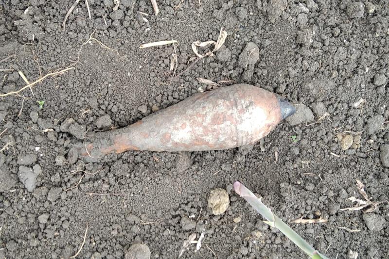 Снаряды, мины и гранату времен Великой Отечественной войны уничтожили  взрывотехники Росгвардии на Кубани