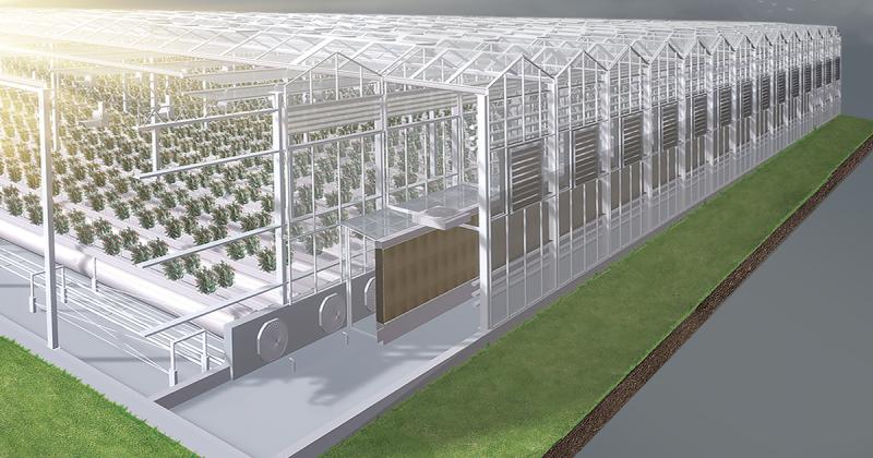 «АГРИСОВГАЗ» примет участие в 30-й юбилейной международной выставке «Iran agro 2023»