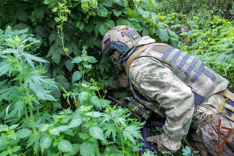 Росгвардейцы обнаружили схрон боеприпасов под мостом в ЛНР