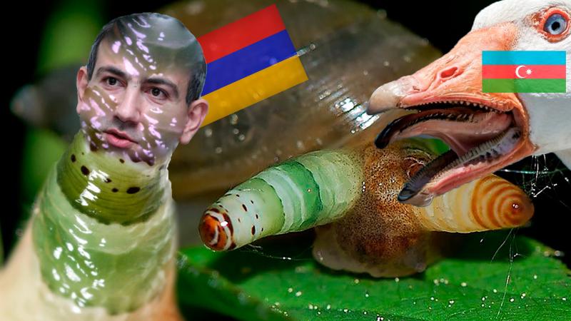 Европопейская Армения 24 февраля митингует против России?