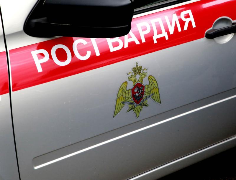 В Мордовии росгвардейцы задержали мужчину за хищение из гипермаркета